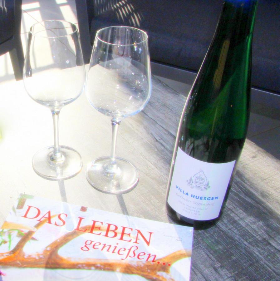 Apartment Mosel-loggia - Luxusapartment -terrass - Klimaanlage